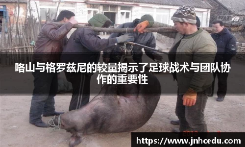 韦德体育